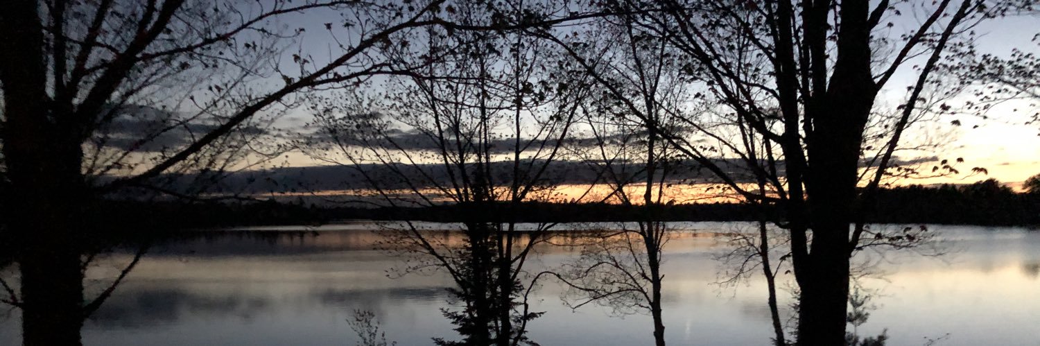 Dr. Minitrue, misinformation expert banner