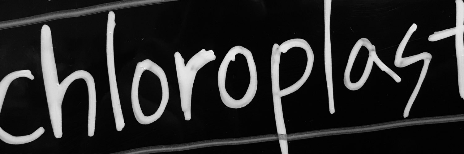 chloro_official's profile banner image