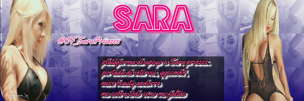 prinzescfans's profile banner image