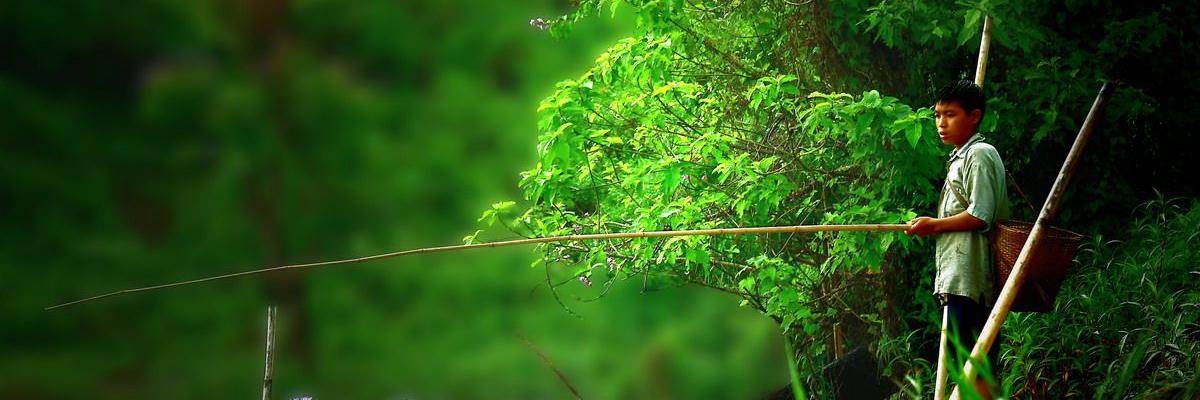 gaessaki's profile banner image