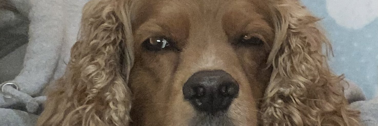 Madison2078's profile banner image