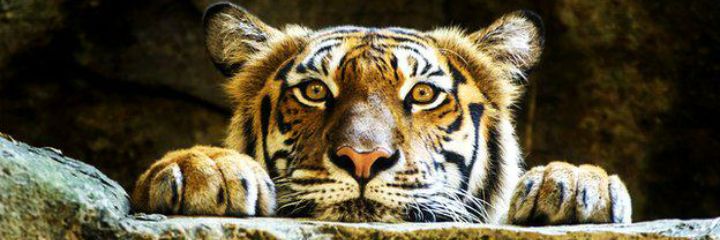 Se385Soe's profile banner image