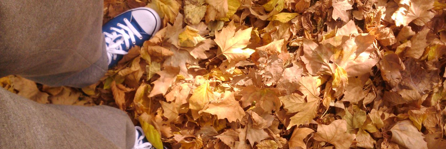 🦊 Zorrængo 🥭 banner