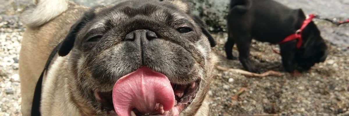 JenRenK87's profile banner image