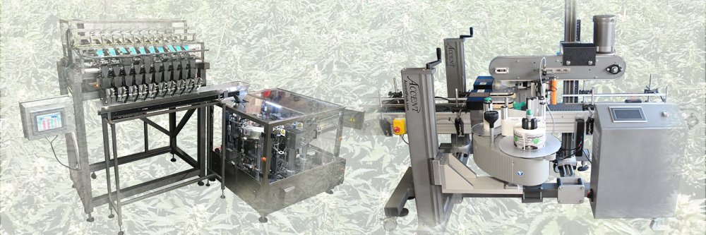 accentpack's profile banner image
