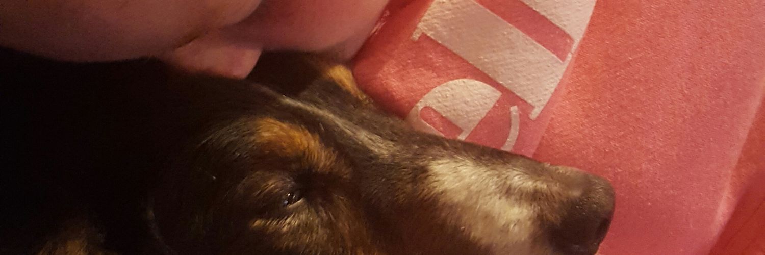 clareldobby's profile banner image