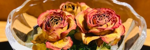 91995808's profile banner image
