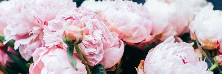 kennedywebster's profile banner image