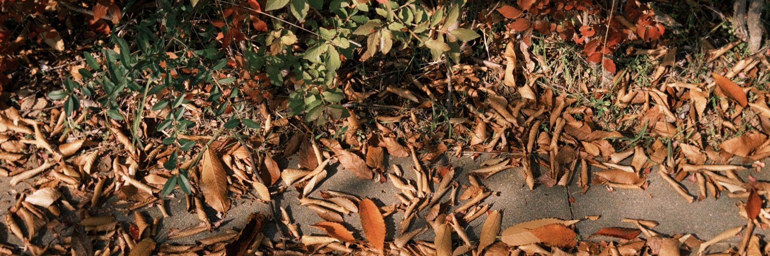 NeGonzalez06's profile banner image