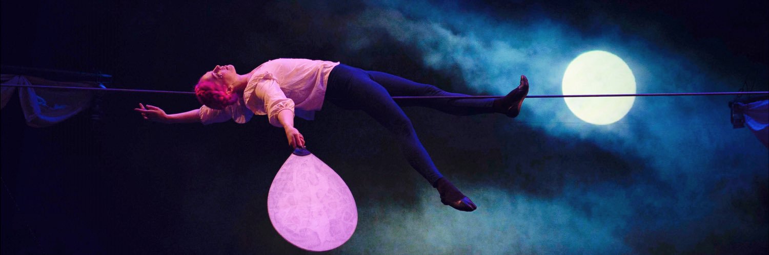 Vespertine Circus banner