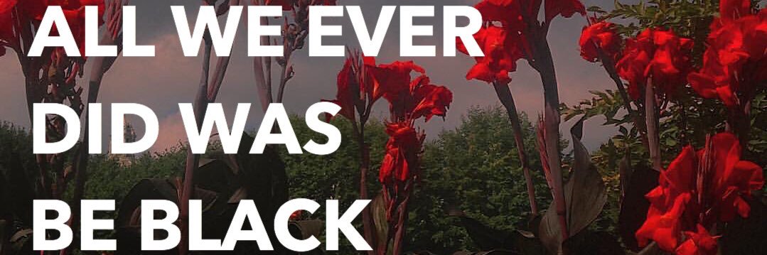 Junie B. Jones banner