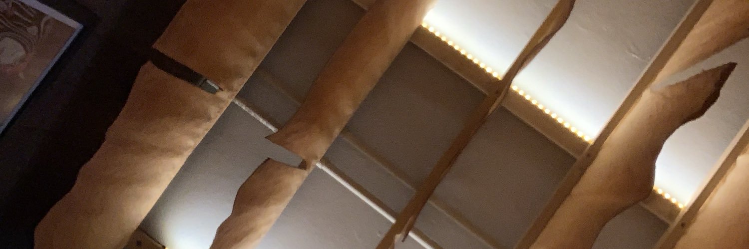 piacaceres2's profile banner image