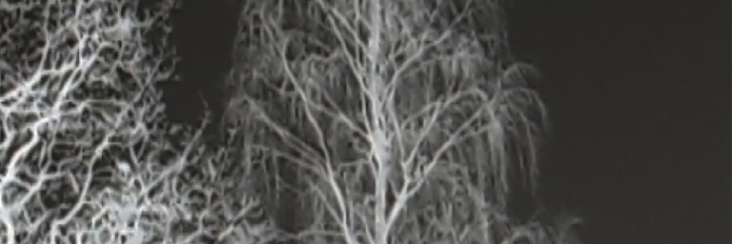 Maloni banner