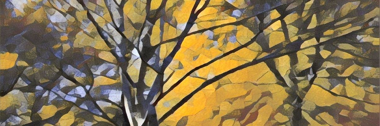 LeslieClingan's profile banner image