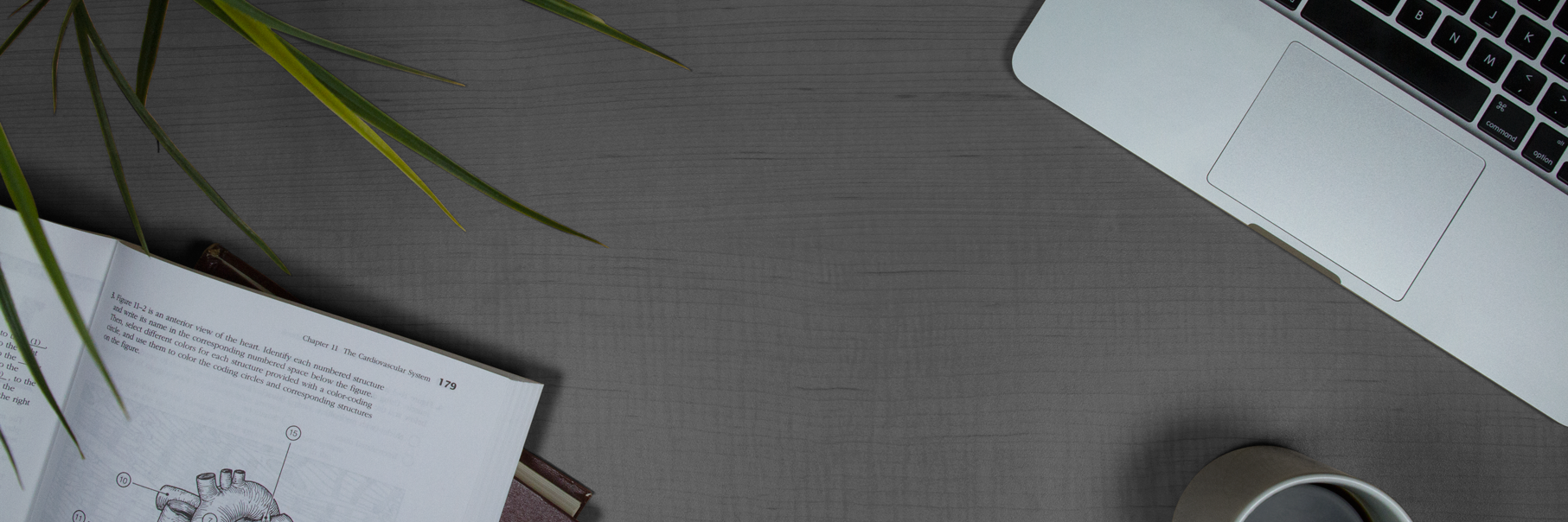 Dr Anthony J Levinson banner