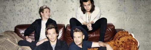 directioner5951's profile banner image