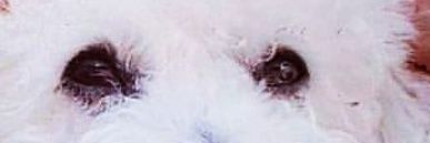 GarridaIsita's profile banner image