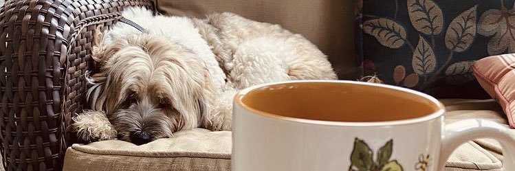 TheFlos's profile banner image