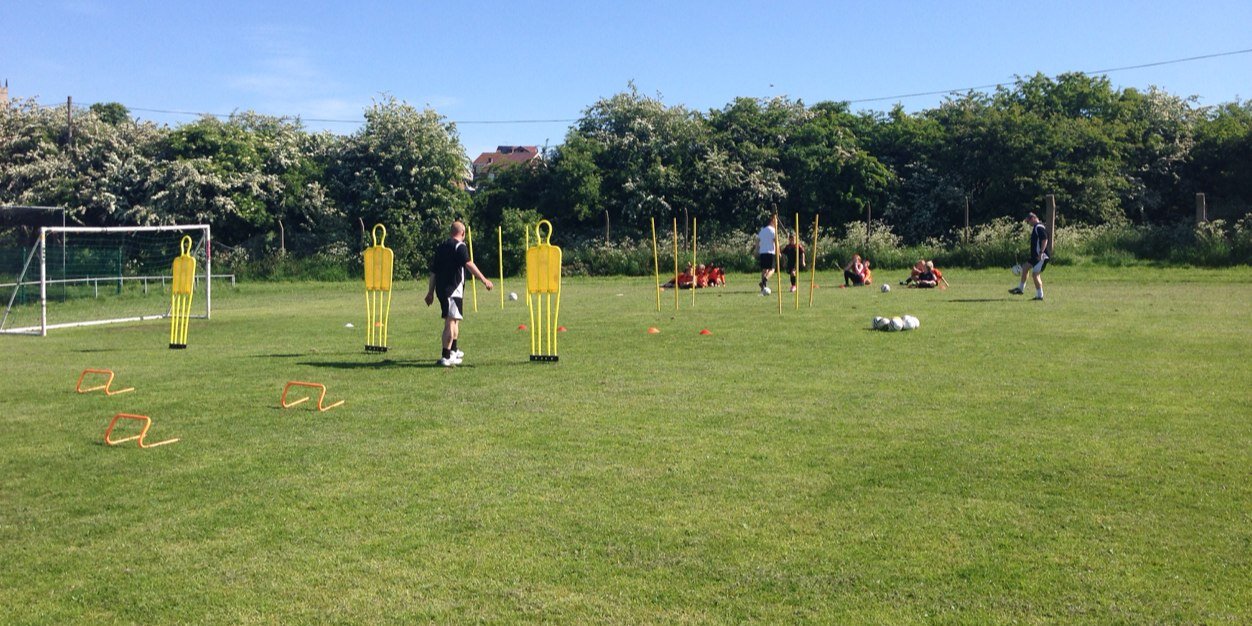 Treeton Terriers JFC banner