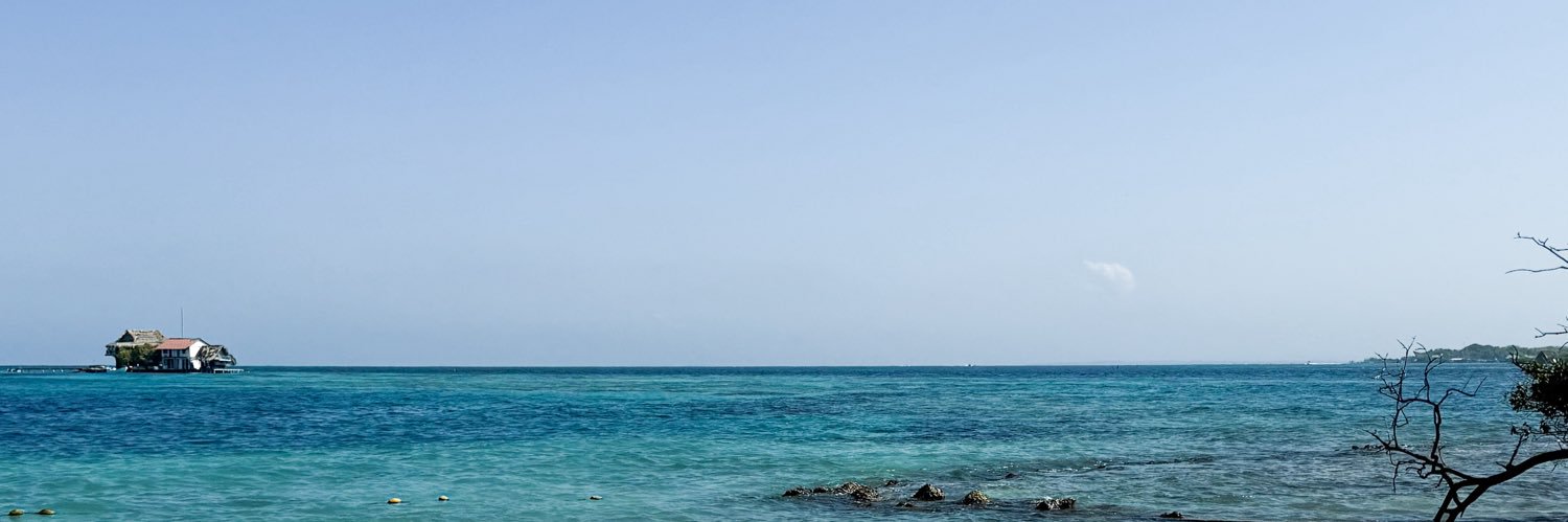 Sofía Figueroa banner