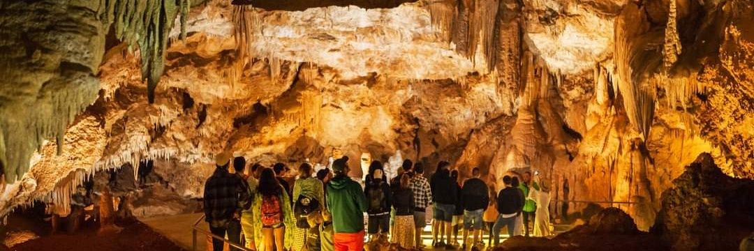 lipa_cave's profile banner image
