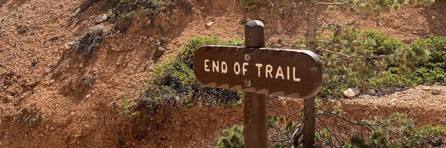 Allison Murray banner