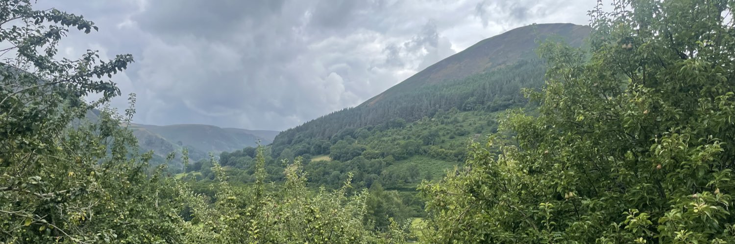 Nat_Harvs's profile banner image