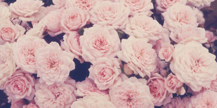 MariaMariaaa__'s profile banner image