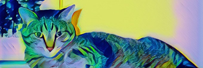 Craig S. C. Okajima banner