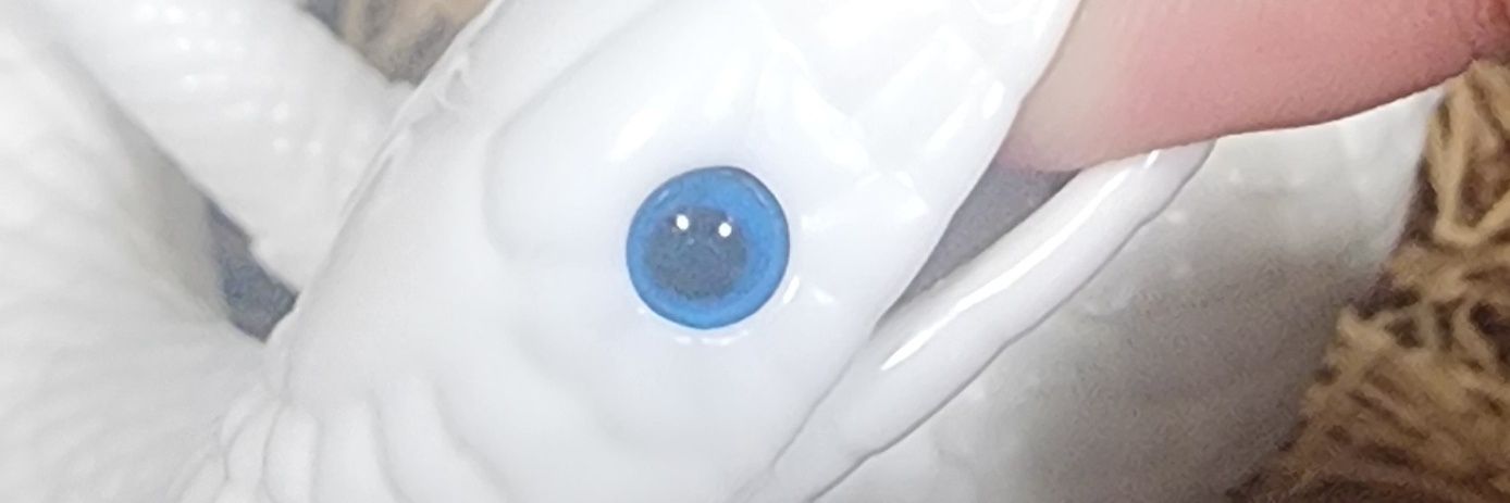 rt를 많이합니다 마녀솥 banner