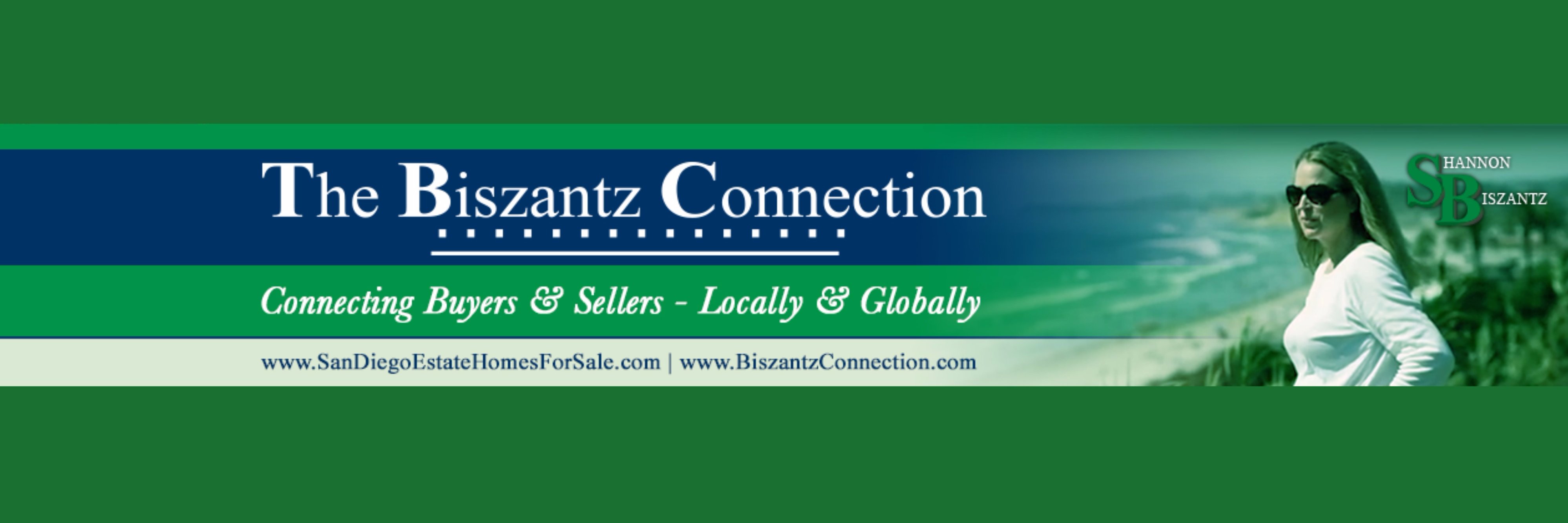 Biszantz's profile banner image