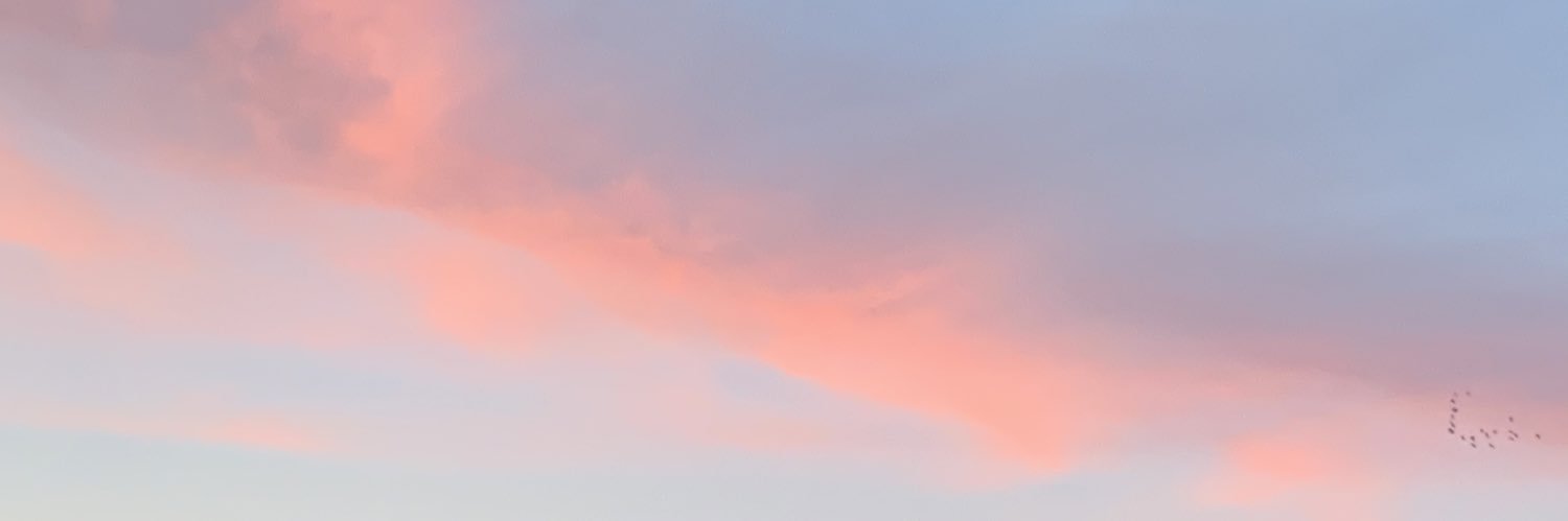 Zoe banner