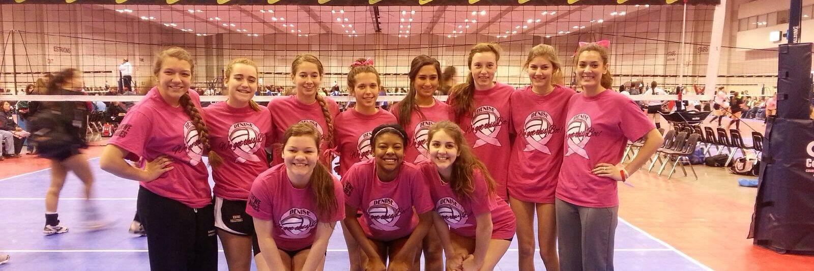 KreweVolleyball's profile banner image