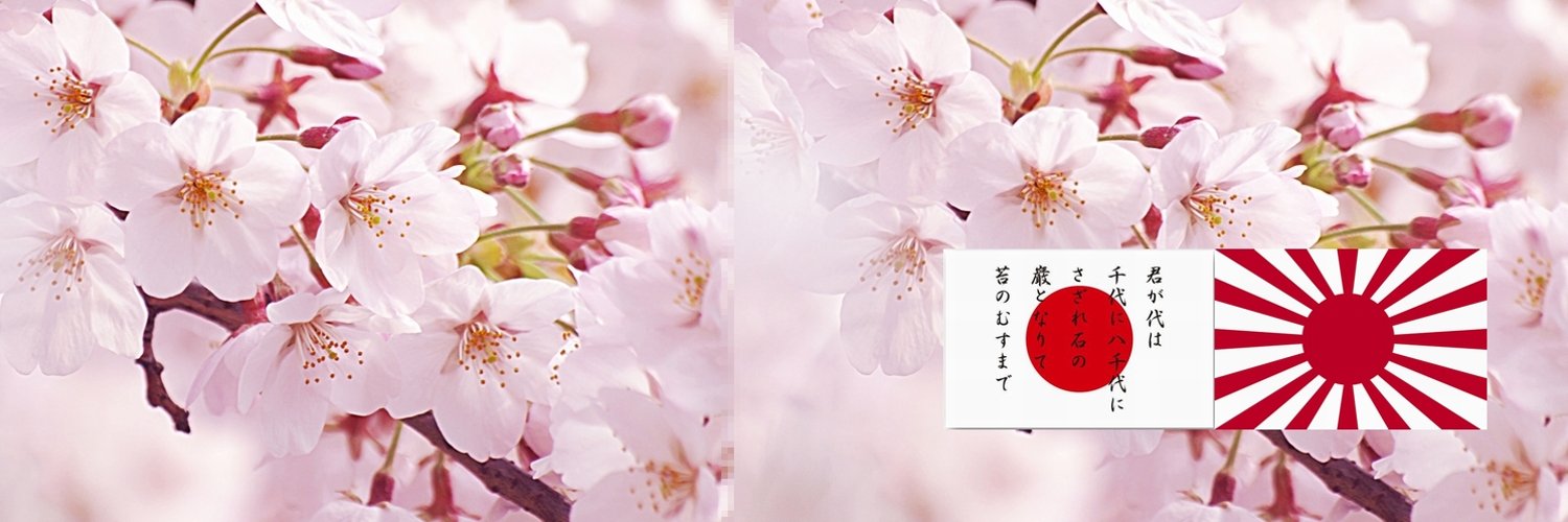 tps312a's profile banner image