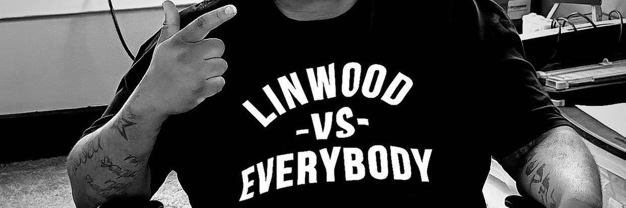 LinwoodBigDev's profile banner image