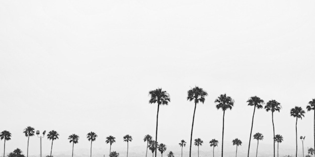 StephBnifaz's profile banner image