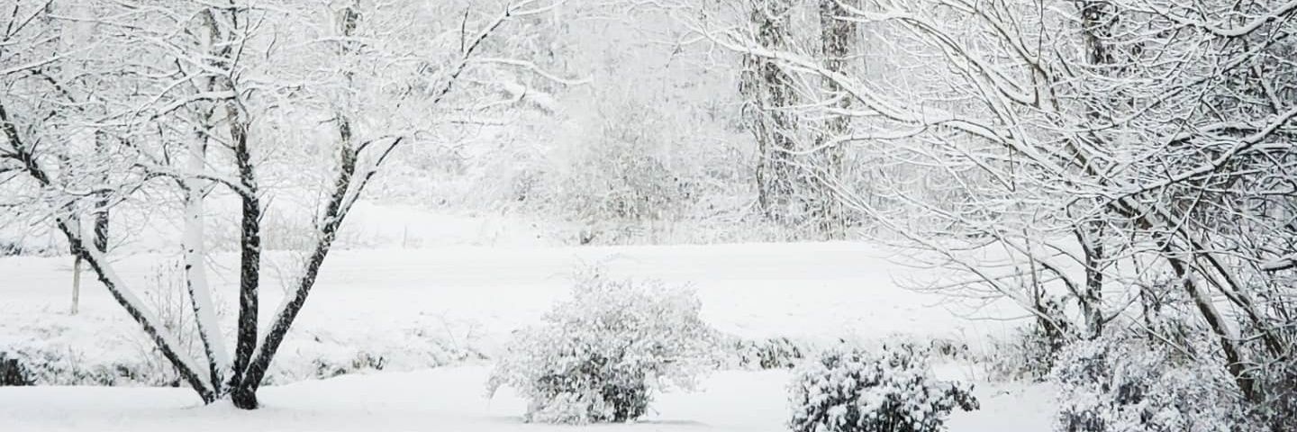 izabellafuson's profile banner image