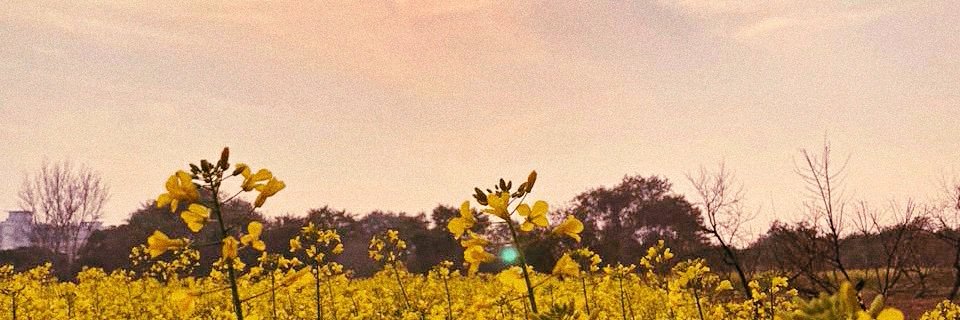 _maditiss_'s profile banner image