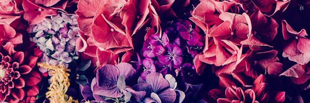 karagru's profile banner image