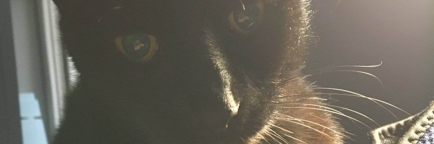 Virginia Kelly banner