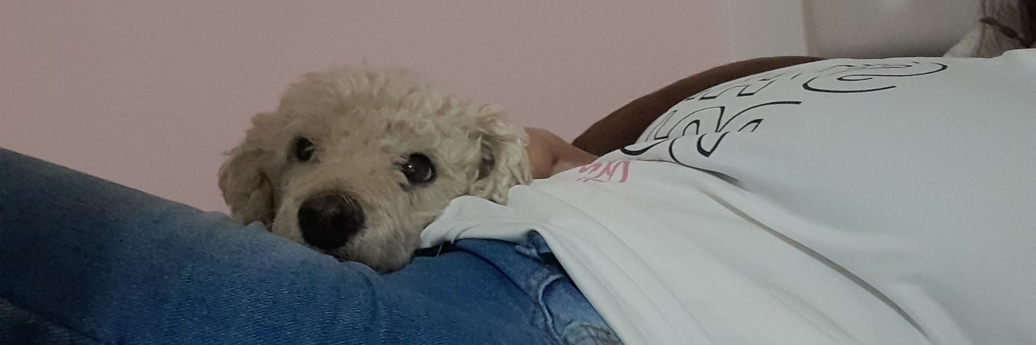 micaromeroi4's profile banner image