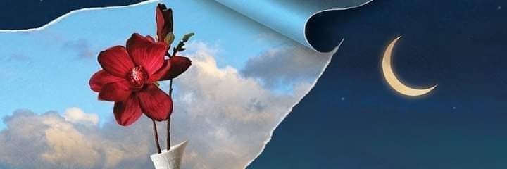 denizz_ulass's profile banner image