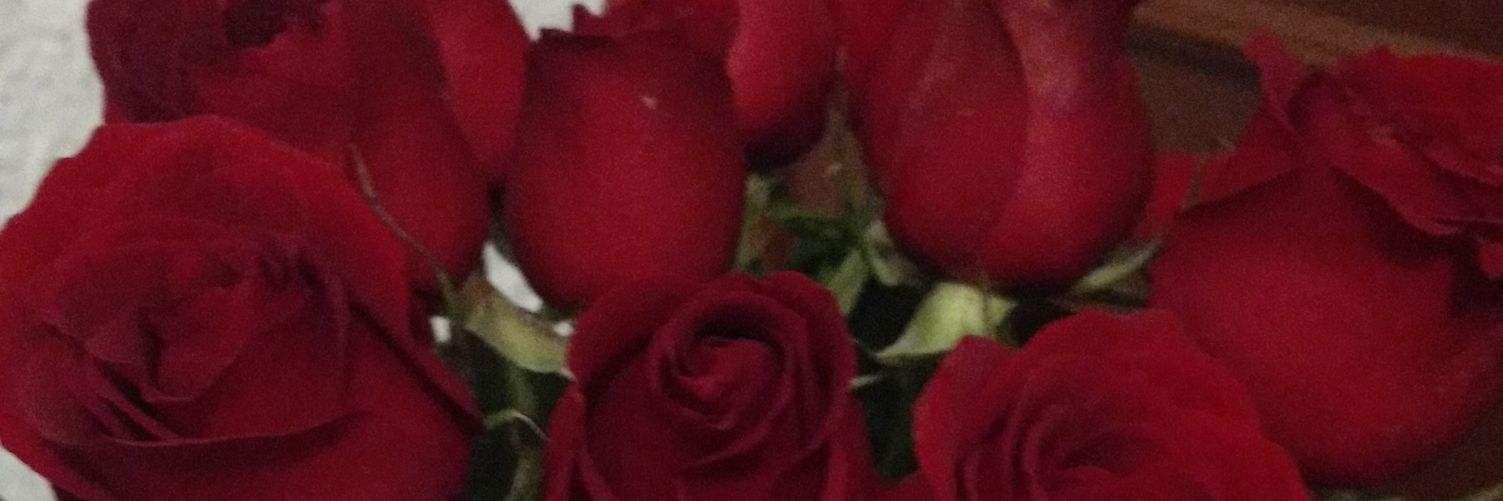 ady_led's profile banner image