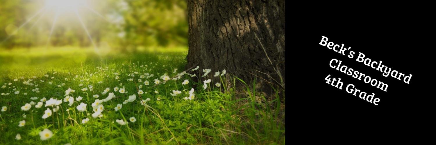 becksbackyard's profile banner image
