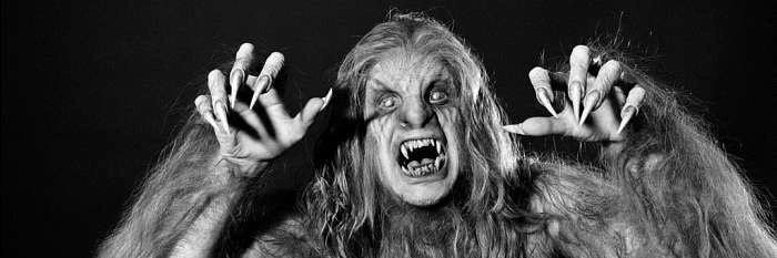 🌌Tracy Root🌌 banner