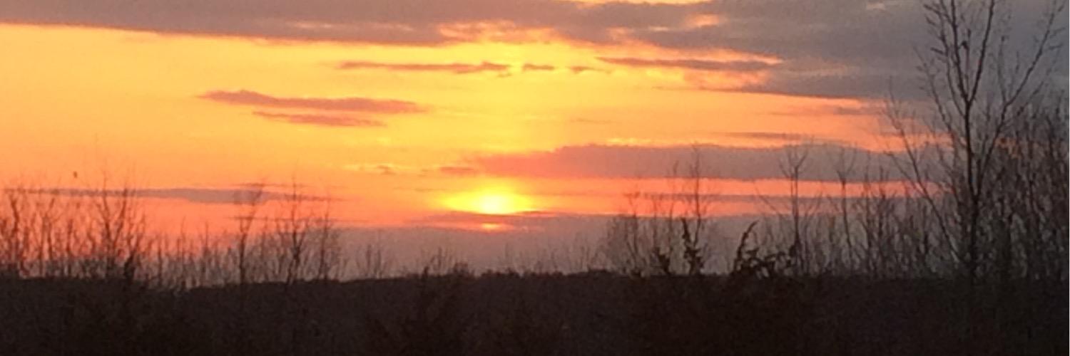 SusanFaley's profile banner image