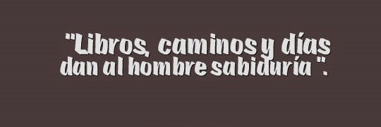 EliSanchez98's profile banner image