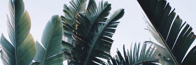 guessitscess's profile banner image