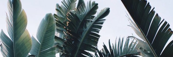 guessitscess Profile Banner