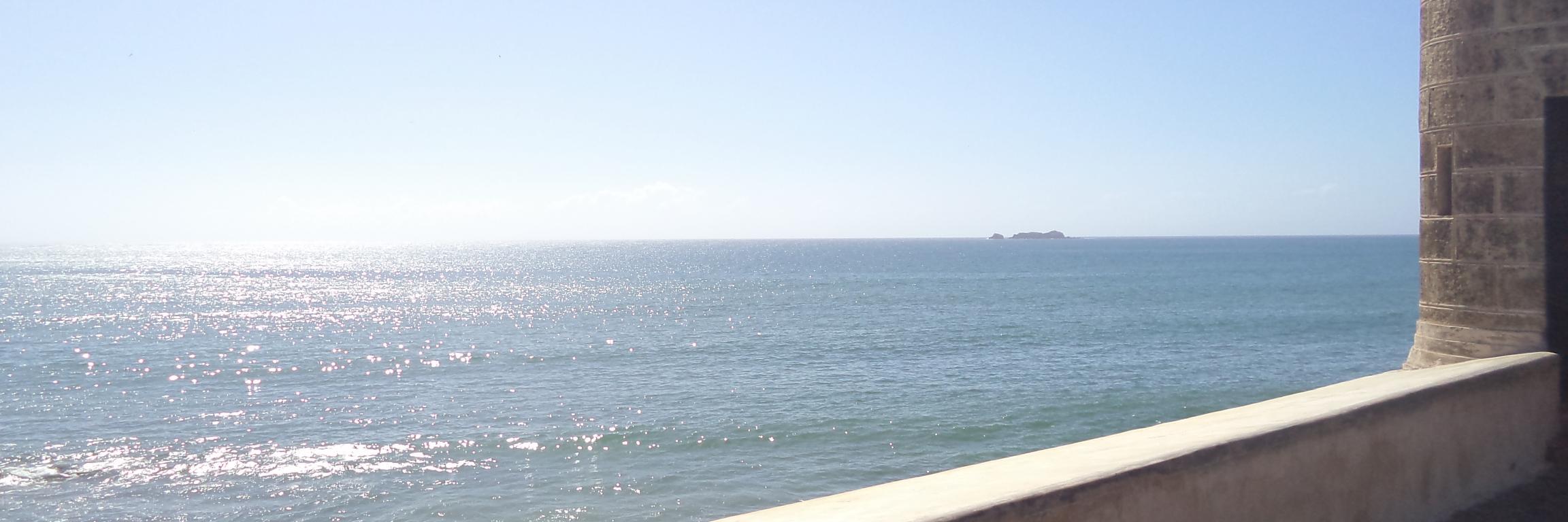 nanitagoto's profile banner image